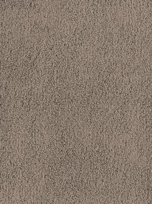 wDTW103608A400-F Das Teppichwerk Teppichboden Fascination...