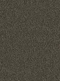 wDTW101318A400-F Das Teppichwerk Teppichboden Fascination...