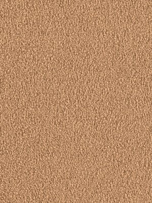 wDTW103733A400-F Das Teppichwerk Teppichboden Fascination...
