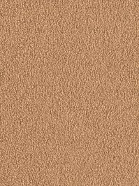 wDTW103733A400-F Das Teppichwerk Teppichboden Fascination...