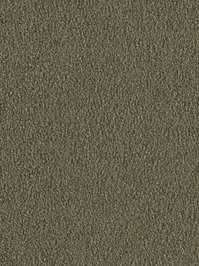 wDTW103734A400-F Das Teppichwerk Teppichboden Fascination...