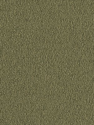 wDTW103735A400-F Das Teppichwerk Teppichboden Fascination...
