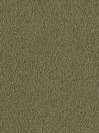 wDTW103735A400-F Das Teppichwerk Teppichboden Fascination...