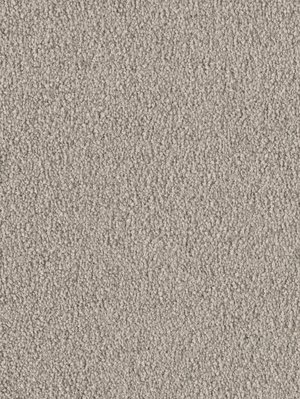 wDTW103736A400-F Das Teppichwerk Teppichboden Fascination...