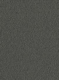 wDTW103738A400-F Das Teppichwerk Teppichboden Fascination...