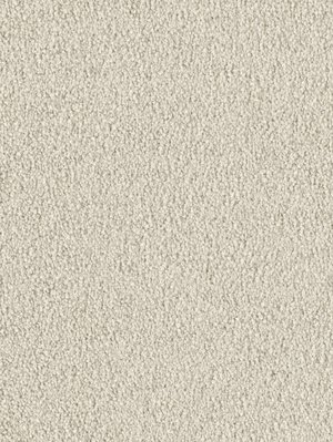 wDTW103739A400-F Das Teppichwerk Teppichboden Fascination...