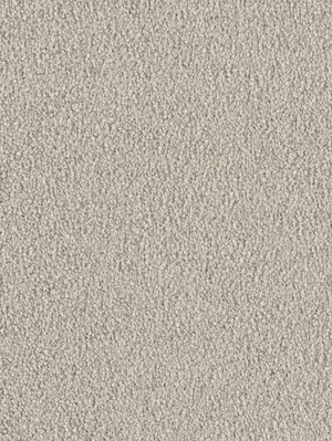 wDTW103740A400-F Das Teppichwerk Teppichboden Fascination...