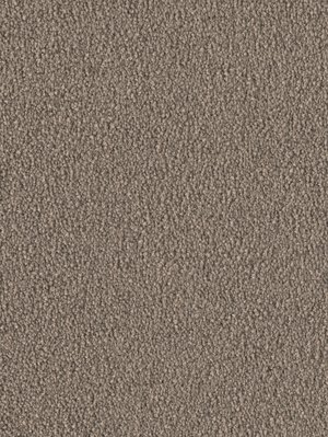 wDTW103741A400-F Das Teppichwerk Teppichboden Fascination...