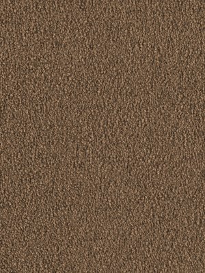 wDTW103742A400-F Das Teppichwerk Teppichboden Fascination...