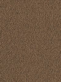 wDTW103742A400-F Das Teppichwerk Teppichboden Fascination...