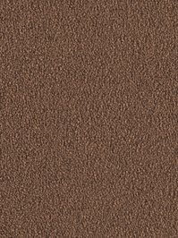 wDTW103743A400-F Das Teppichwerk Teppichboden Fascination...
