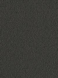 wDTW103744A400-F Das Teppichwerk Teppichboden Fascination...