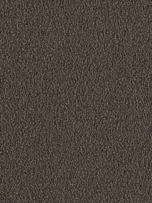 wDTW103763A400-F Das Teppichwerk Teppichboden Fascination...
