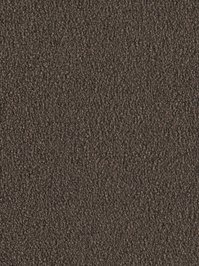 wDTW103763A400-F Das Teppichwerk Teppichboden Fascination...