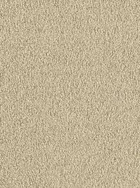 wDTW103746A400-F Das Teppichwerk Teppichboden Fascination...