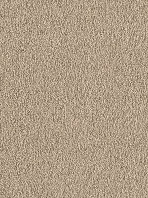 wDTW103748A400-F Das Teppichwerk Teppichboden Fascination...