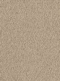 wDTW103748A400-F Das Teppichwerk Teppichboden Fascination...
