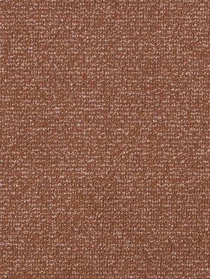 wDTW103798A400-F Das Teppichwerk Teppichboden Fascination...