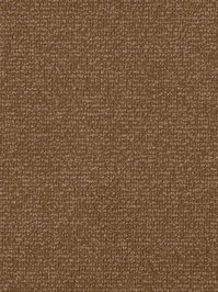 wDTW103800A400-F Das Teppichwerk Teppichboden Fascination...