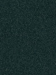 wDTW103804A400-F Das Teppichwerk Teppichboden Fascination...
