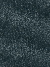 wDTW103805A400-F Das Teppichwerk Teppichboden Fascination...