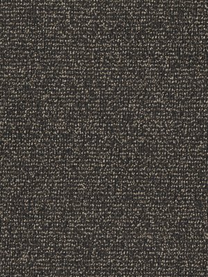 wDTW103807A400-F Das Teppichwerk Teppichboden Fascination...