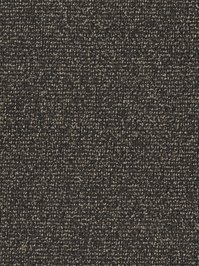 wDTW103807A400-F Das Teppichwerk Teppichboden Fascination...