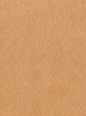 m-wDTW103637A400-F Das Teppichwerk Teppichboden...