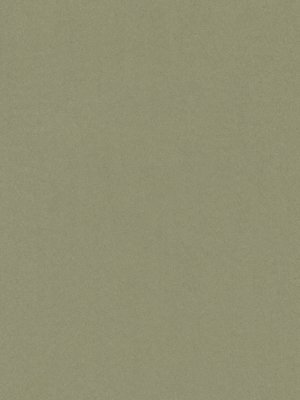 m-wDTW101561A400-F Das Teppichwerk Teppichboden...