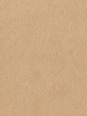 m-wDTW103636A400-F Das Teppichwerk Teppichboden...