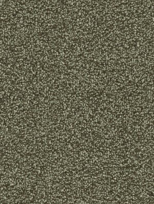 m-wDTW103769A400-F Das Teppichwerk Teppichboden...