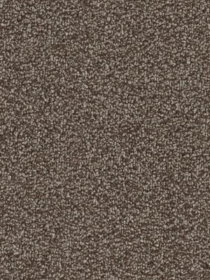 m-wDTW103775A400-F Das Teppichwerk Teppichboden...