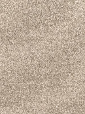 m-wDTW103796A400-F Das Teppichwerk Teppichboden...