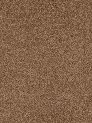 m-wDTW103535A400-F Das Teppichwerk Teppichboden...