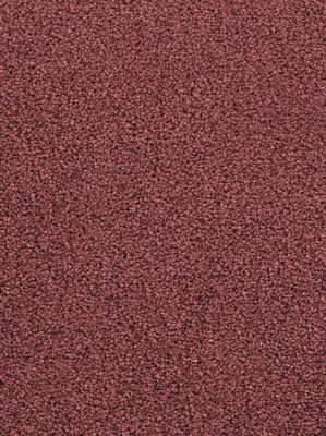 m-wDTW103582A400-F Das Teppichwerk Teppichboden...