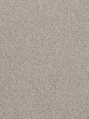 m-wDTW103586A400-F Das Teppichwerk Teppichboden...