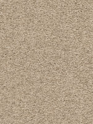 m-wDTW101588A400-F Das Teppichwerk Teppichboden...