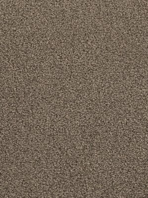 m-wDTW103587A400-F Das Teppichwerk Teppichboden...