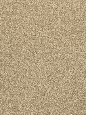 m-wDTW103589A400-F Das Teppichwerk Teppichboden...
