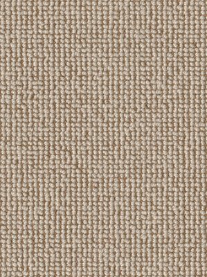 m-wDTW103555A400-F Das Teppichwerk Teppichboden...