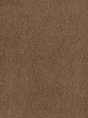 m-wDTW103603A400-F Das Teppichwerk Teppichboden...