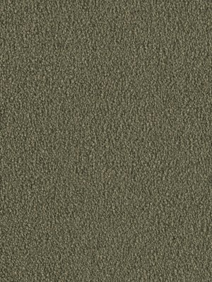 m-wDTW103734A400-F Das Teppichwerk Teppichboden...