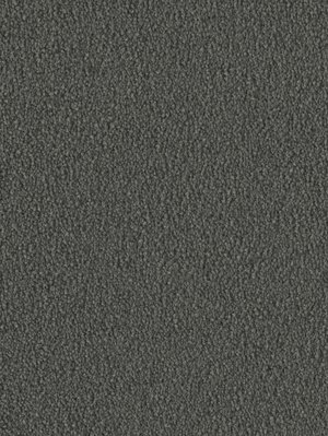 m-wDTW103738A400-F Das Teppichwerk Teppichboden...
