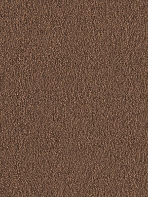 m-wDTW103743A400-F Das Teppichwerk Teppichboden...
