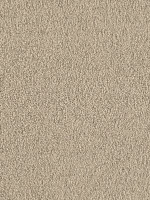 m-wDTW103747A400-F Das Teppichwerk Teppichboden...