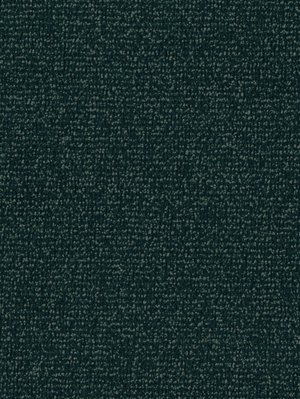 m-wDTW103804A400-F Das Teppichwerk Teppichboden...