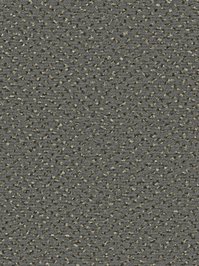 wDTW104521A400-R Das Teppichwerk Teppichboden Passion and...