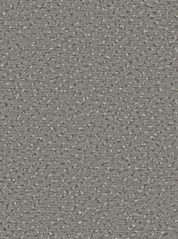 wDTW104523A400-R Das Teppichwerk Teppichboden Passion and...