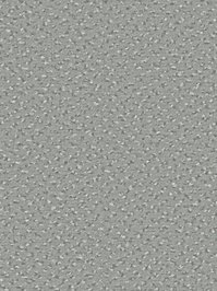 wDTW104524A400-R Das Teppichwerk Teppichboden Passion and...