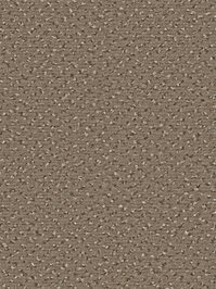 wDTW104525A400-R Das Teppichwerk Teppichboden Passion and...